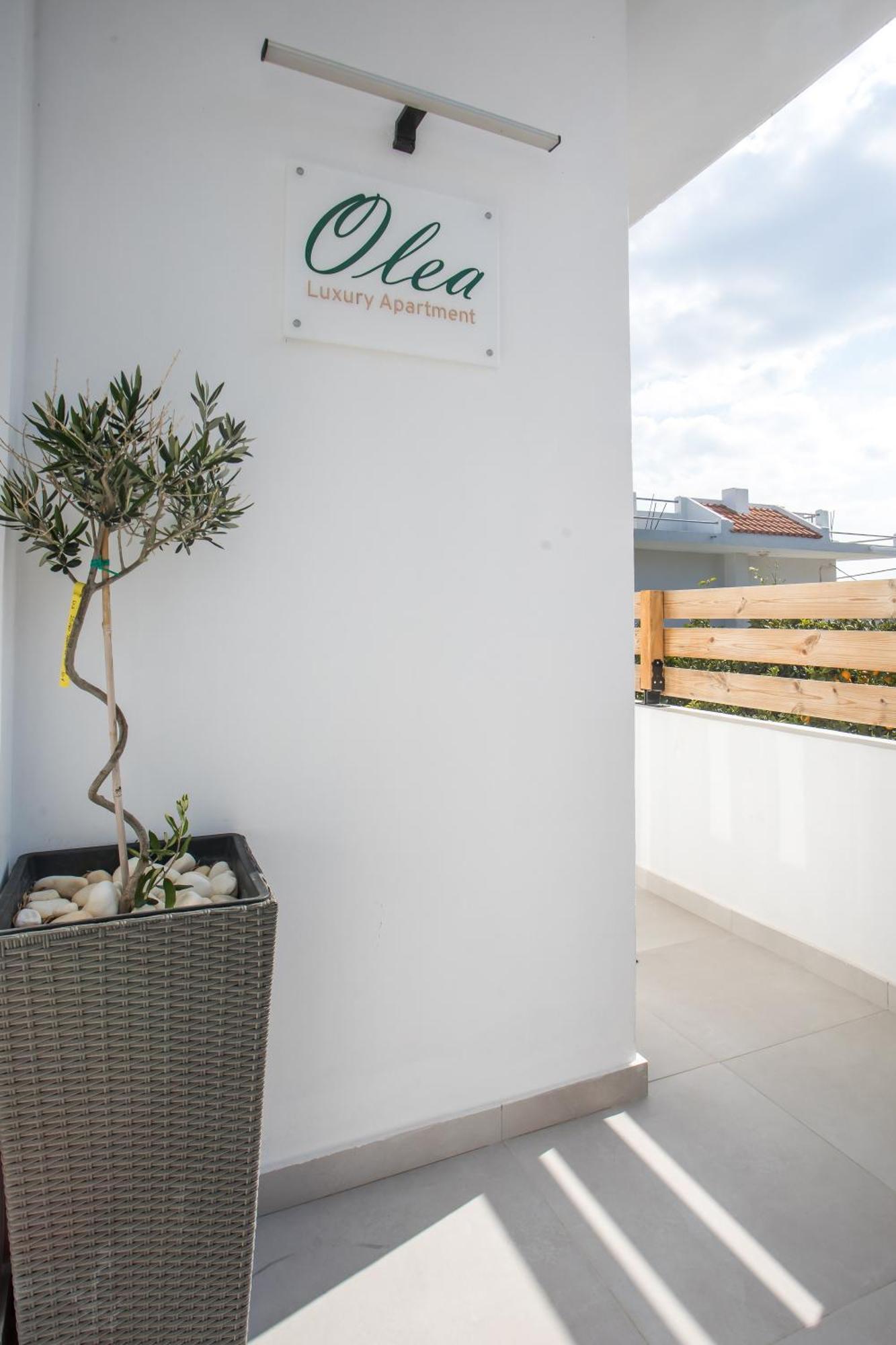 Olea Luxury Apartment Afantou Eksteriør bilde